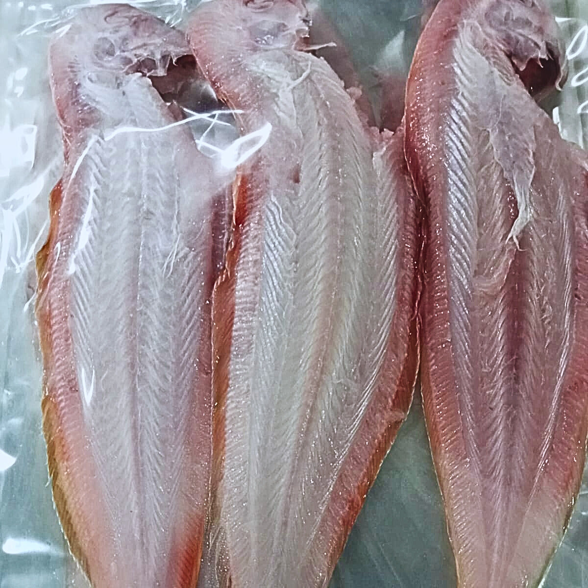 Sole Fish / நாக்கு மீன் / നങ്ക്