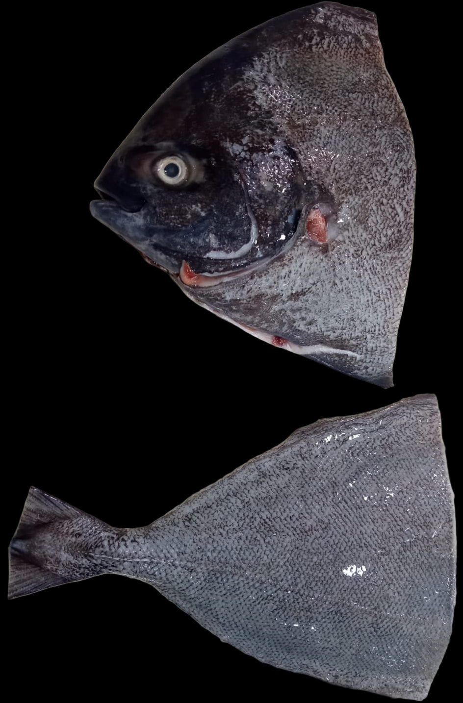 Black Pomfret/ Vavval/ Vaval (Whole Cleaned)