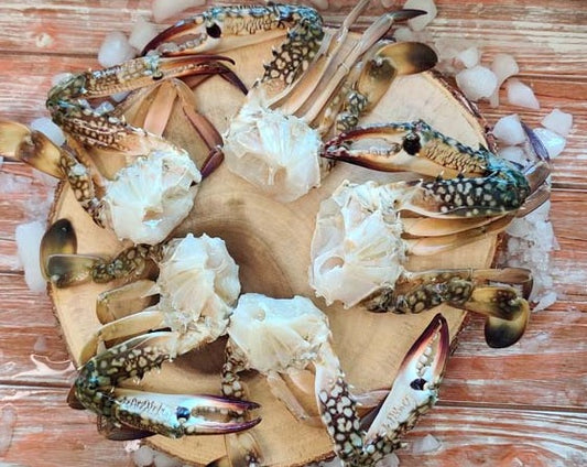 Indian Blue Crab/ Nandu