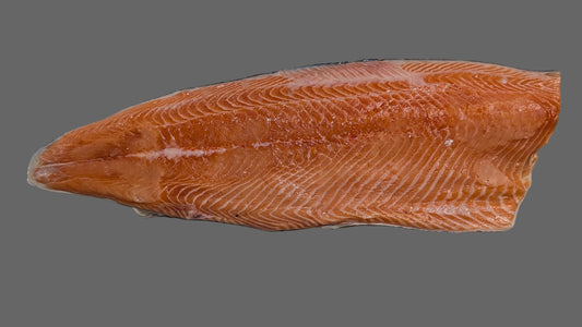Atlantic Salmon