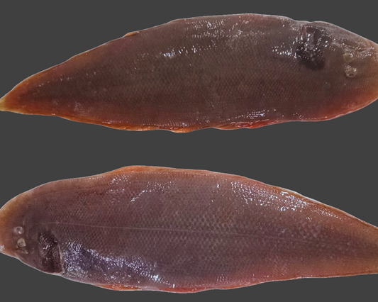 Sole Fish / நாக்கு மீன் / നങ്ക്