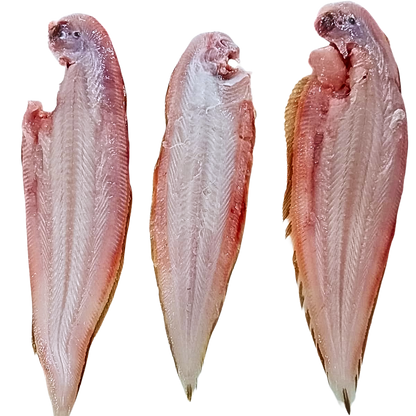 Sole Fish / நாக்கு மீன் / നങ്ക്