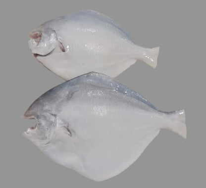 Silver Pomfret / Vavval/ Vaval